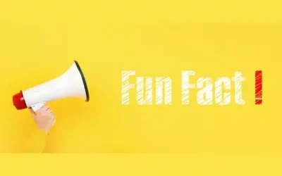 Noch ein toller Blogpost