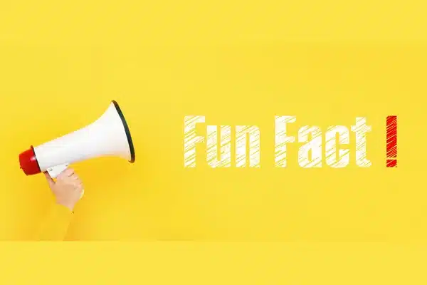 Noch ein toller Blogpost